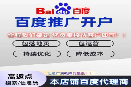 竞价排名在电商行业的实战案例