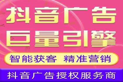 竞价托管实战案例：优化广告投放策略